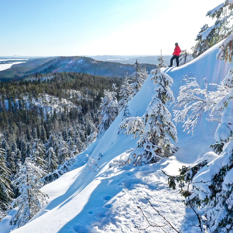 tarjouspyyntö valokuvaus, edullinen valokuvaaja, suomen parhaat valokuvaajat, maisema koli, koli national park, koli kansallispuisto, talvimaisema, valokuvaaja koli, dronevalokuvaaja joensuu, valokuvaaja joensuu, Jarno Artika