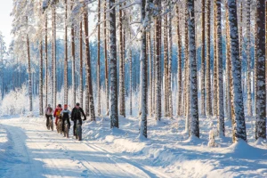 valokuvaaja joensuu, maastopyöräily, valokuvauskohteet, valokuvaus ohjelmapalvelu, valokuvamatkailu