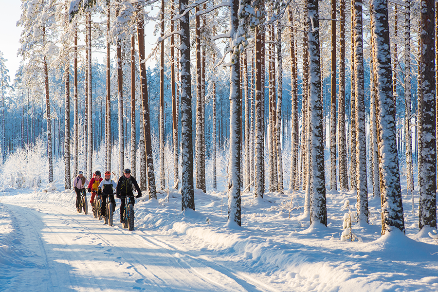 valokuvaaja joensuu, maastopyöräily, valokuvauskohteet, valokuvaus ohjelmapalvelu, valokuvamatkailu