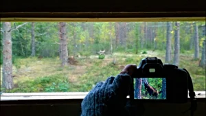 Valokuvaus haluamaasi kohteeseen