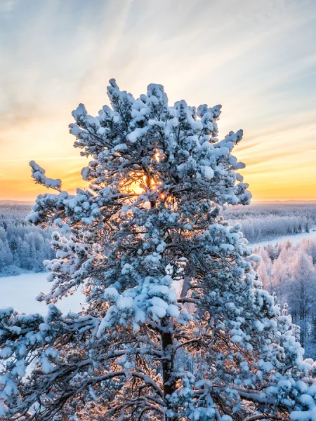 maisemakuvaus Joensuu, Luontokuvaus joensuu, auringonlasku, talvimaisema joensuu, Jarno Artika