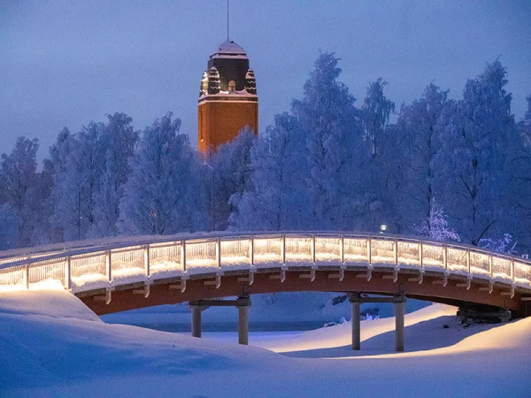 Talvi, Joensuu, talvimaisema, ilosaari, kaupungintalo joensuu, lumi, Sisustusvalokuvat sisustuselementti olohuoneeseen. sisustusvalokuva luontovalokuva, sisustusvalokuva, luontokuvaaja Jarno Artika, Sisustusvalokuvat, Palkitut valokuvataulut, valokuva sisustukseen, Luontovalokuvat.
